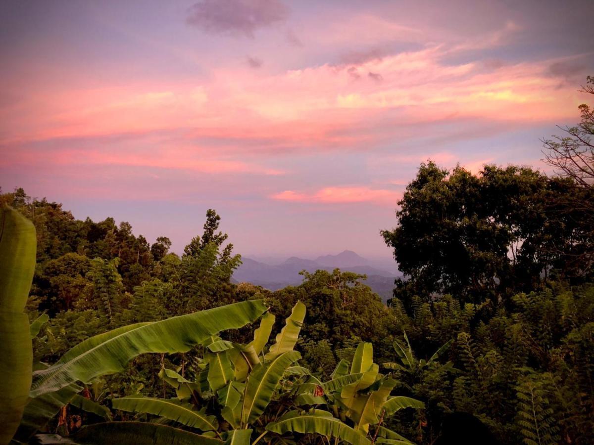Shambala Retreat Bed and Breakfast Ella Buitenkant foto